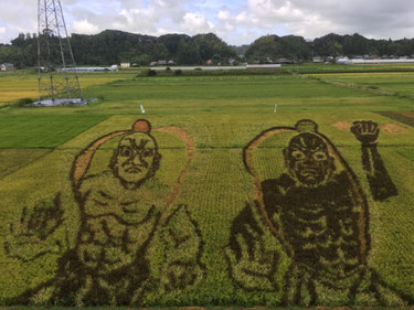 菊川市の田んぼアートの写真